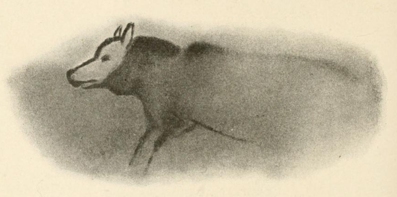 An ancient cave painting of a wolf-like canine, Font-de-Gaume, France. (Credit: Henri Breuil)